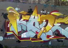 Photo #221204 by Belt