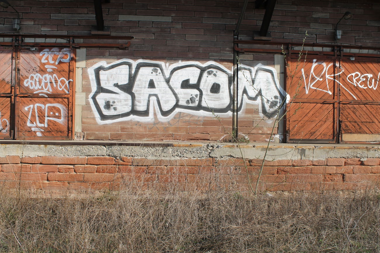 Graffiti Bombing - Photo by graffforlife