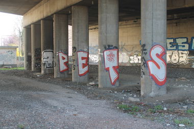 Graffiti Bombing - Photo by graffforlife