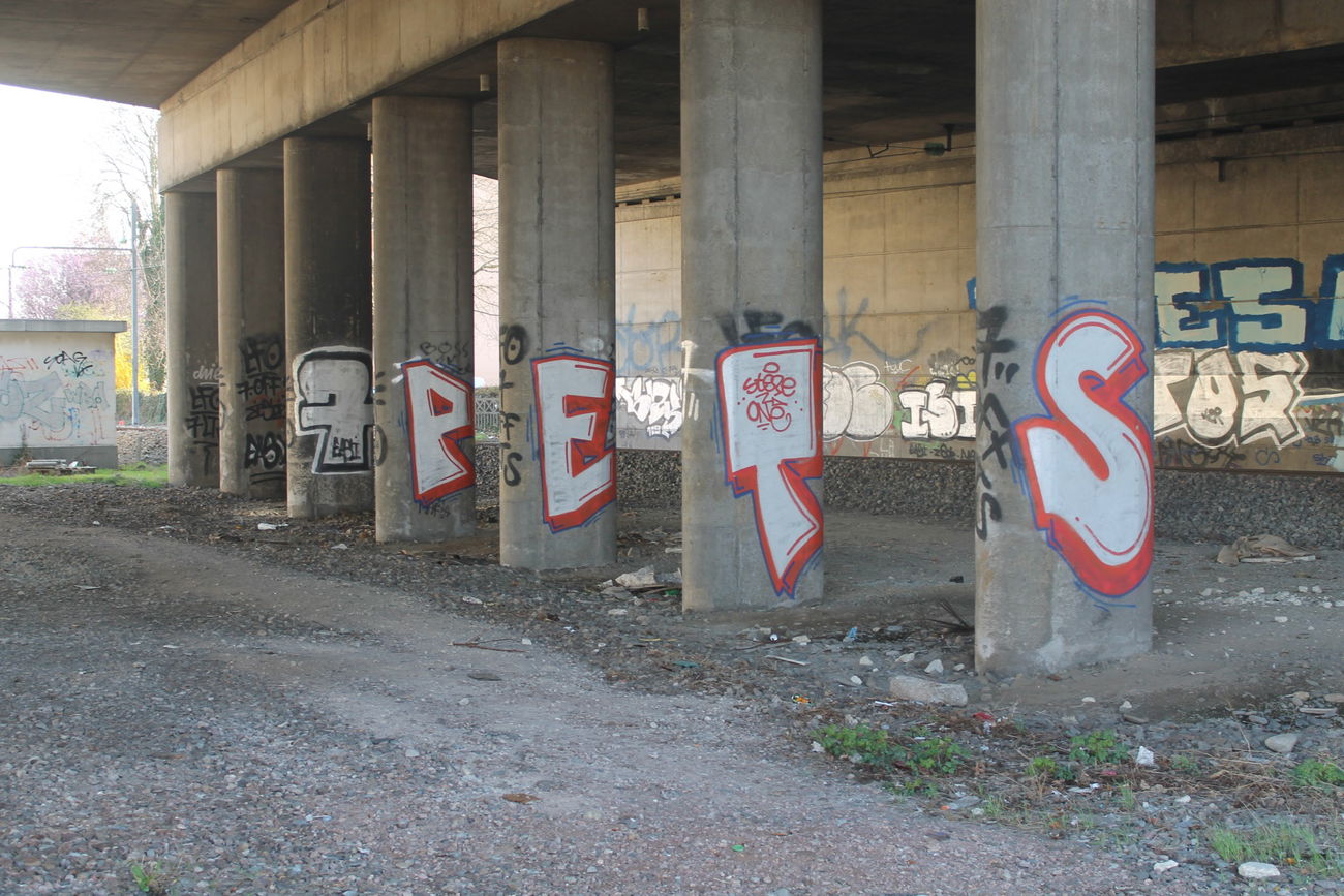 Graffiti Bombing - Photo by graffforlife