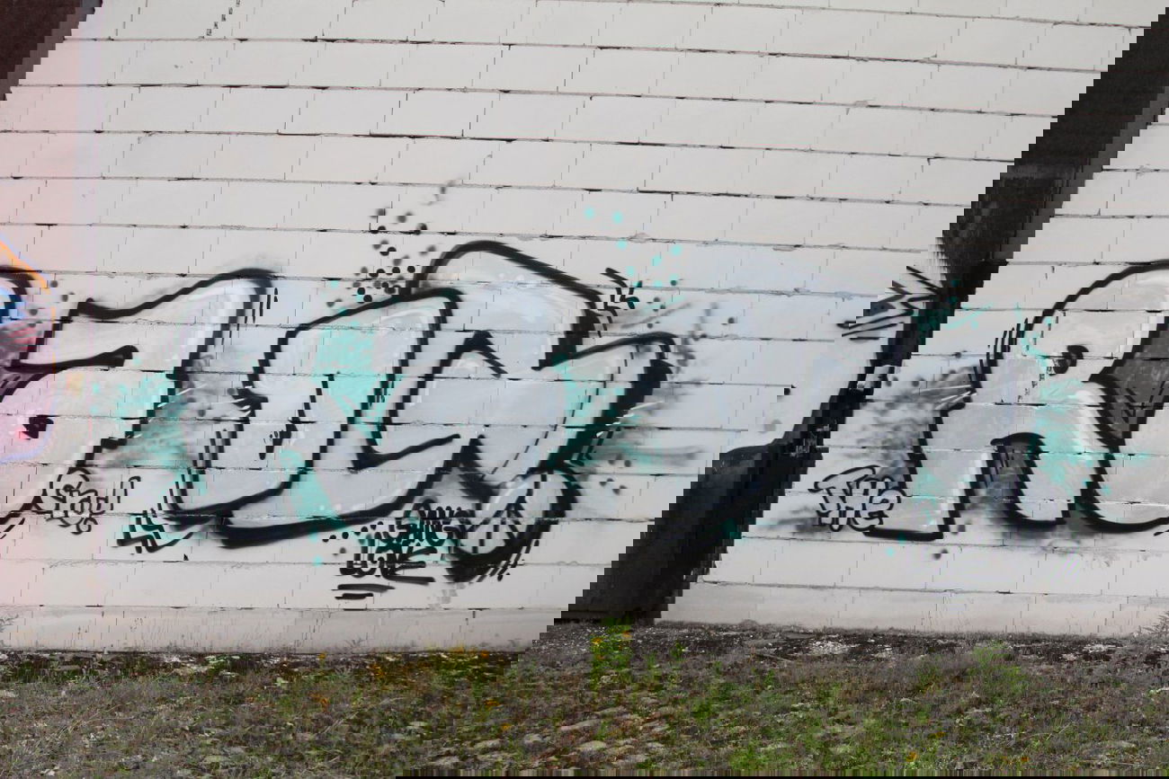 Graffiti Wall - Photo by graffiti_bs - RA, DQ, The (2014)