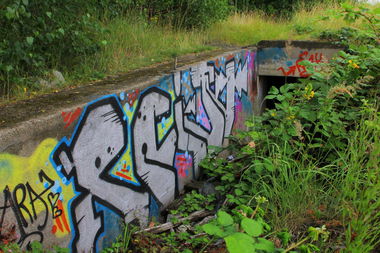 Graffiti Bombing - Photo by graffiti_bs - Rain, Pain, Wolfenbüttel (2014)