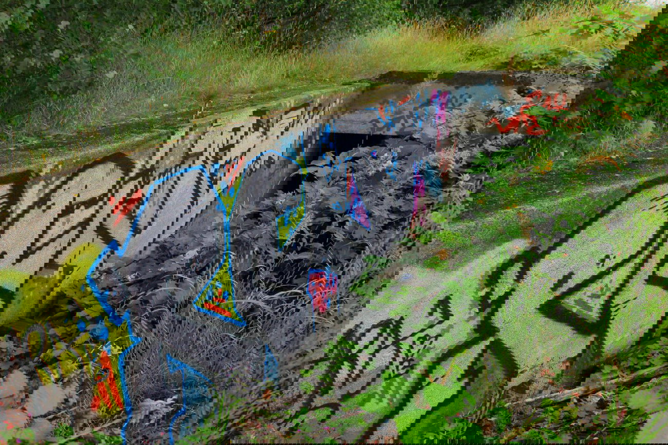 Graffiti Bombing - Photo by graffiti_bs - Rain, Pain, Wolfenbüttel (2014)