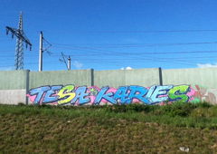 Photo #89183 by Nets1