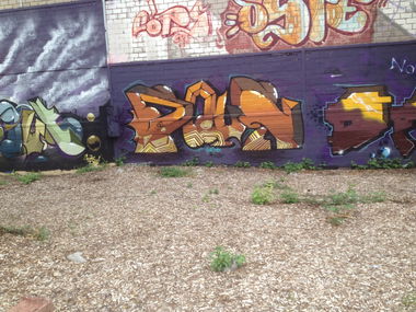 Graffiti Wall - Photo by graffocalypse - Pout, Cops, dhs (2015)