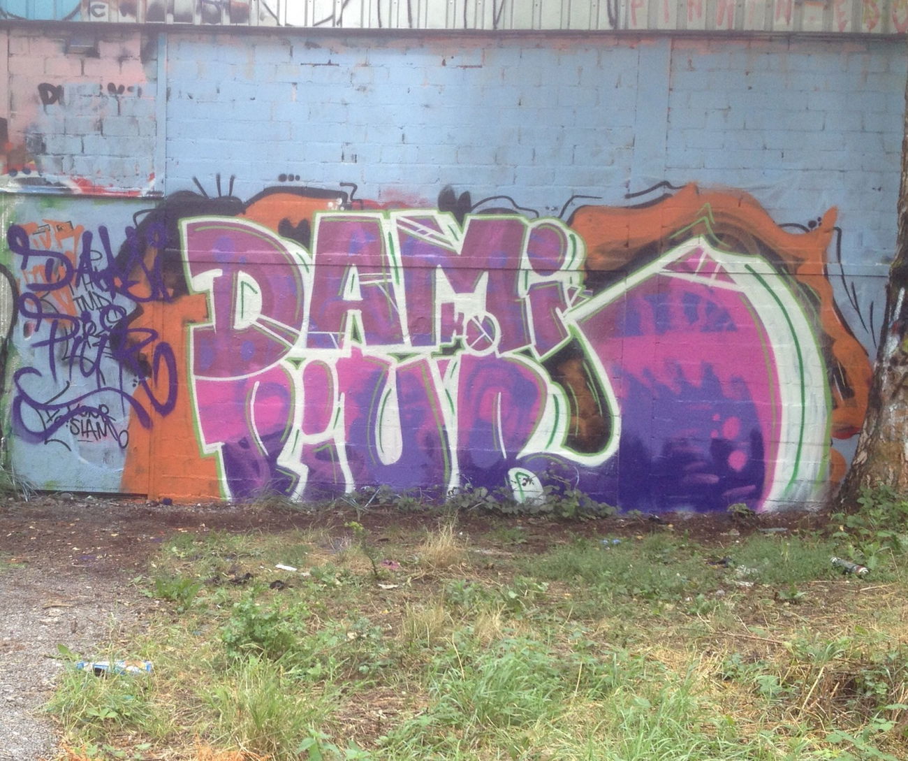 Graffiti Wall - Photo by graffocalypse - Piur, dami, Graffiti (2015)