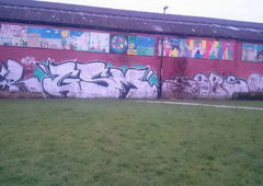 Photo #185311 by TagHagel