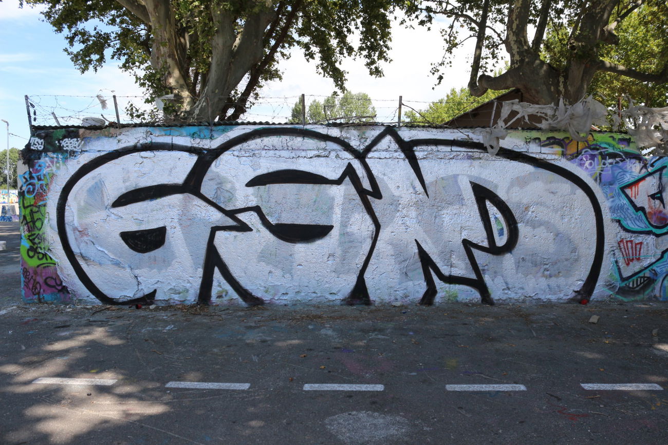Graffiti Wall in Avinion france - Photo by gsmcrew - gsm