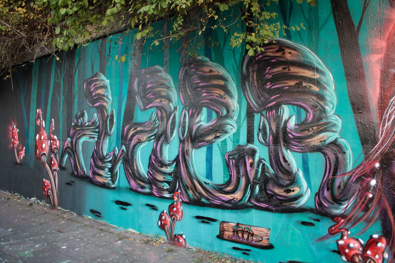 Graffiti Wall - Photo by haer1 - Haer, Ovao, wim (2016)