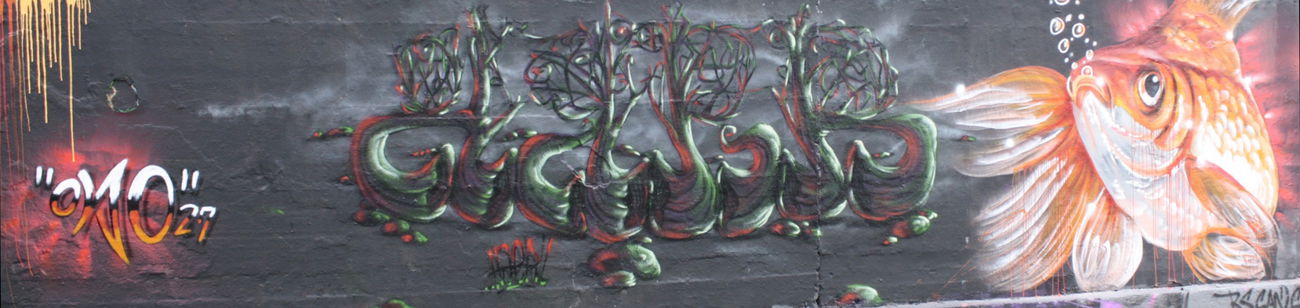 Graffiti Wall - Photo by haer1 - Haer, Ovao, WIM (2016)