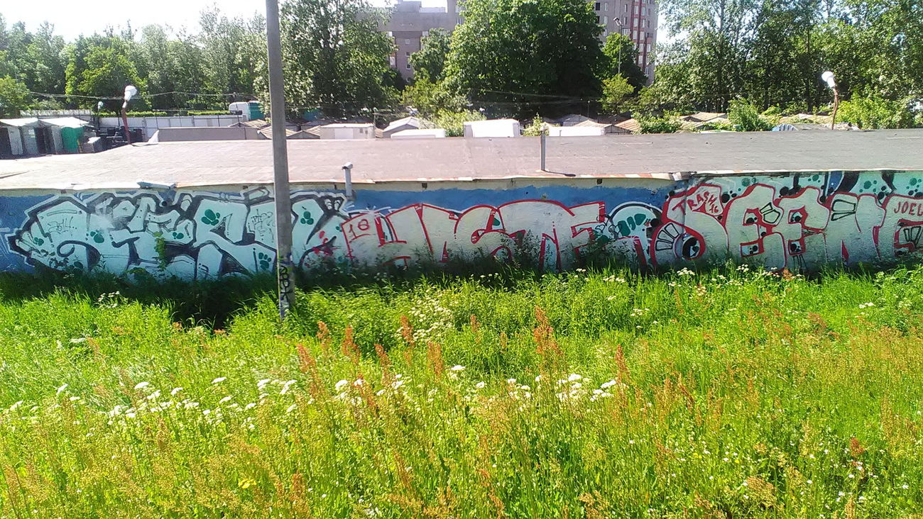 Graffiti Bombing - Photo by haezt (2016)