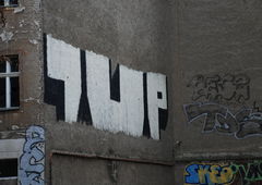 Photo #53527 by Taj3mnicaa