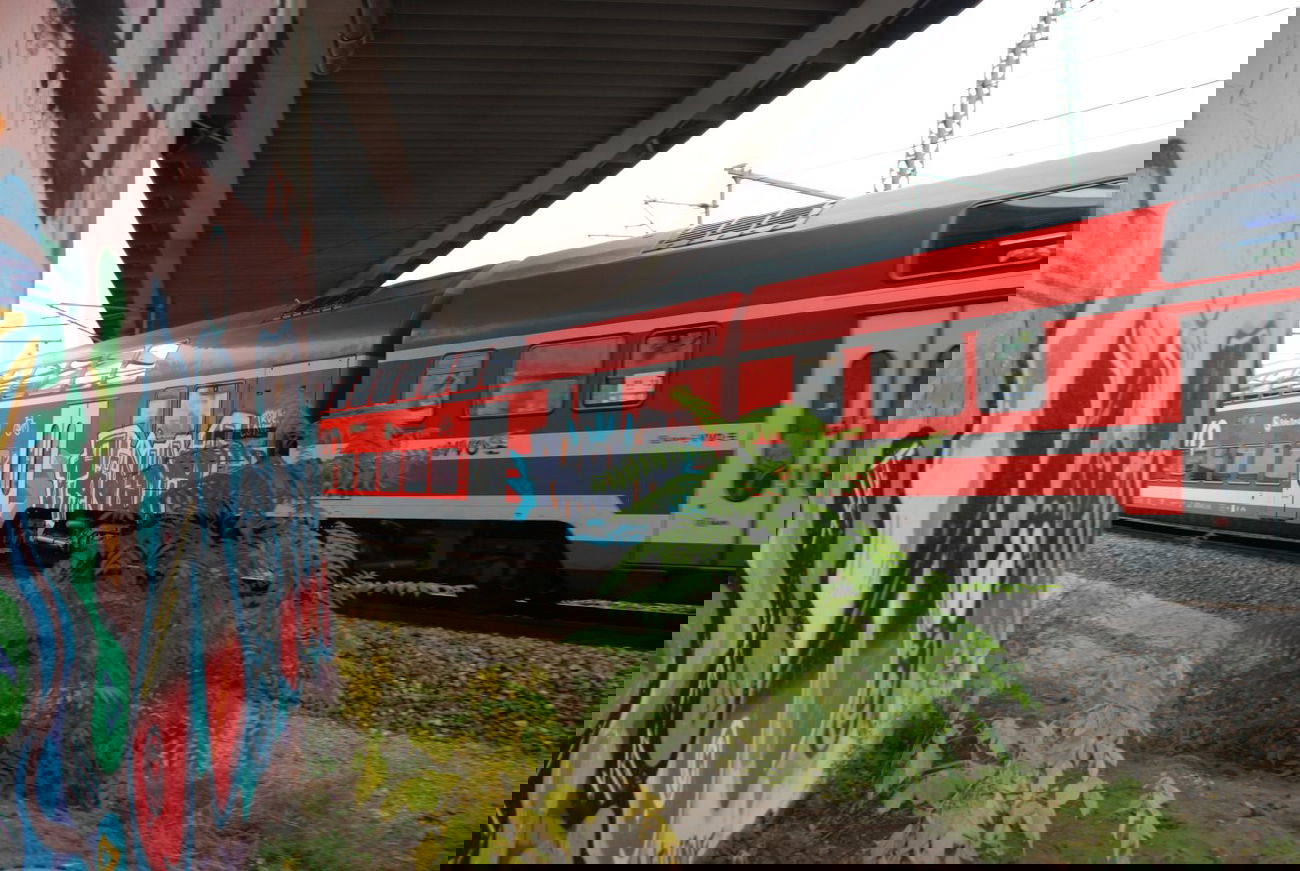 Graffiti Train - Photo by haftbefehl - PANDA, Dresden, Train (2013)