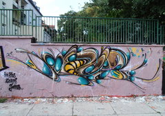 Photo #84574 by TheWallHunter