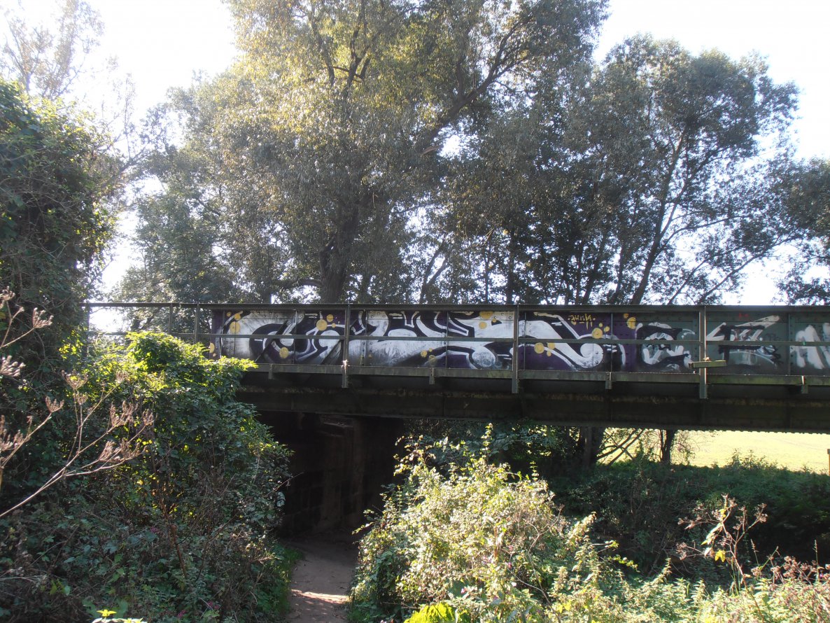 Graffiti Train in Jena - Photo by hainz107 - cwr, junk