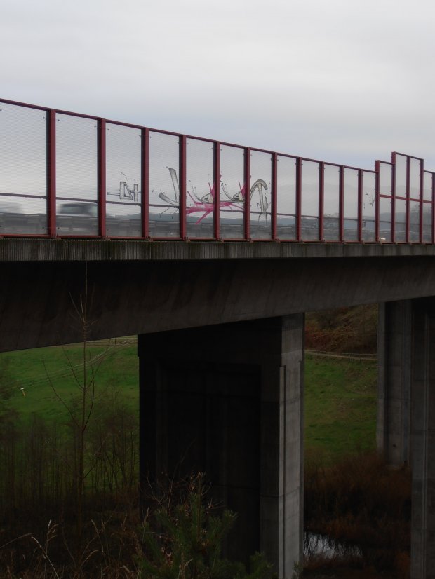 Graffiti Bombing in Jena - Photo by hainz107 - rebel, xq