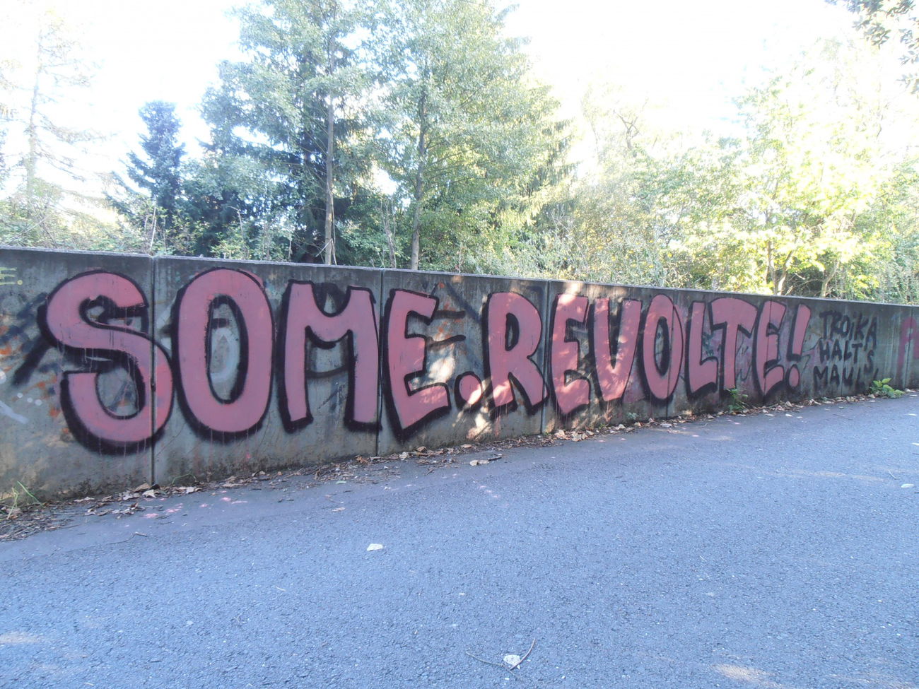 Graffiti Bombing in Jena - Photo by hainz107 - some, revolte