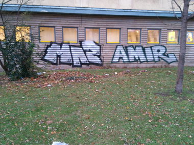 Graffiti Bombing in Dresden - Photo by hanswurst