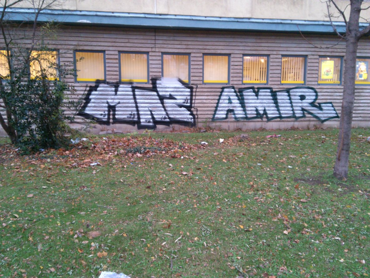 Graffiti Bombing in Dresden - Photo by hanswurst