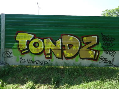 Graffiti Bombing in Warsaw - Photo by hanzo122 - TondzleeTondz (2013)