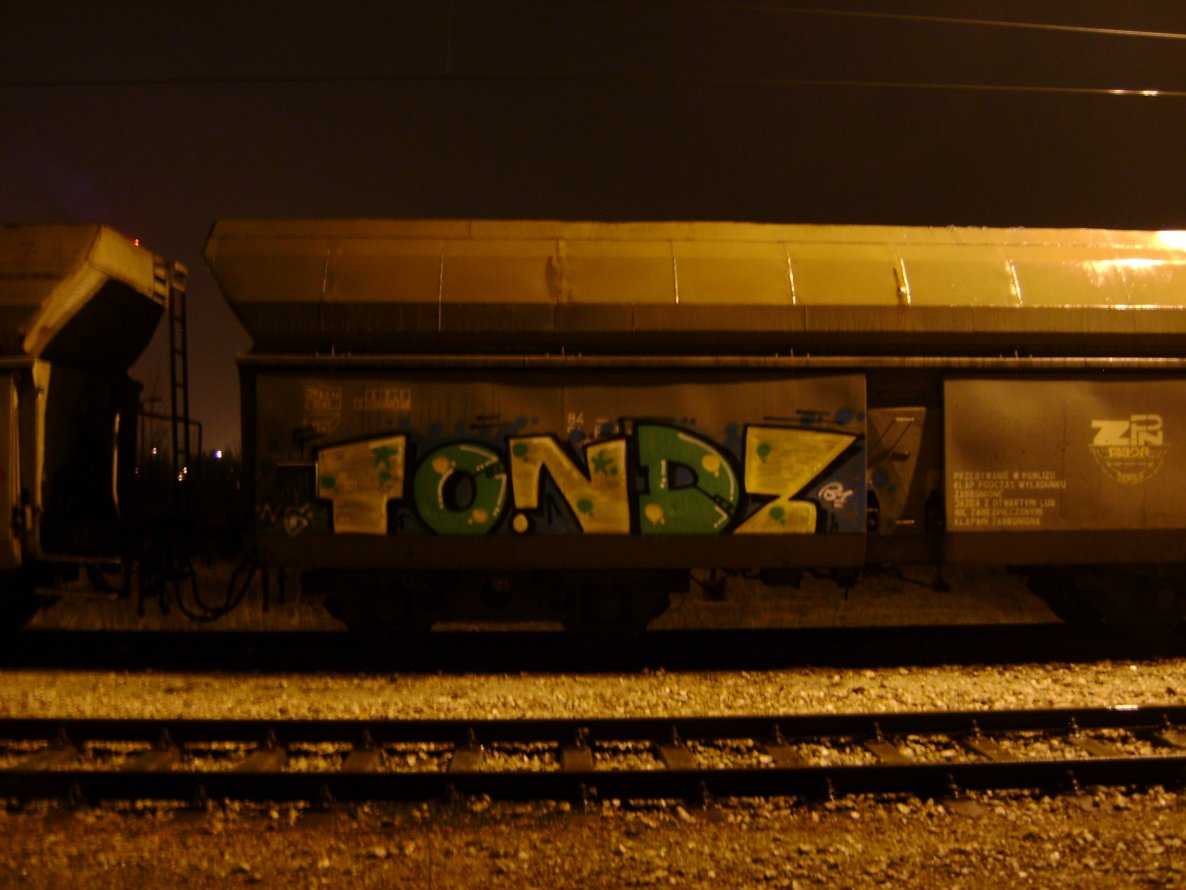 Graffiti Train - Photo by hanzo122 - NS*B1 (2013)