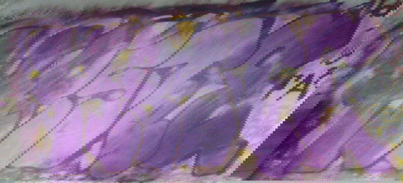 Graffiti Wall in Saint Petersburg - Photo by hastehastehaste (2014)