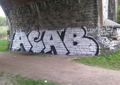 Photo #86554 by rider