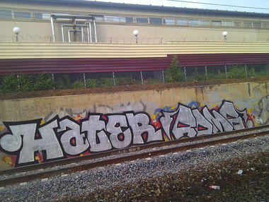 Graffiti Bombing - Photo by hater (2013)