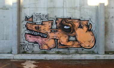 Graffiti Wall - Photo by hauaufdiekacke - dog, xxmiii, germany (2013)