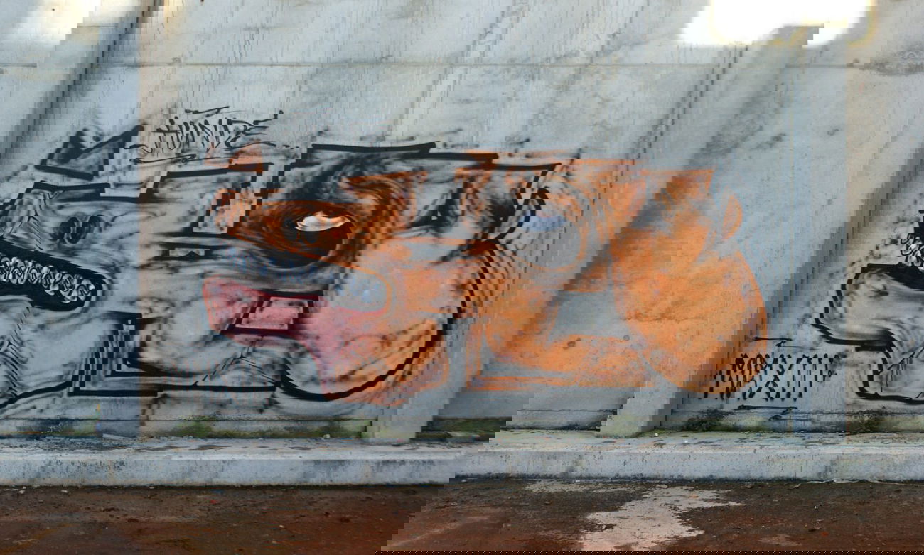 Graffiti Wall - Photo by hauaufdiekacke - dog, xxmiii, germany (2013)