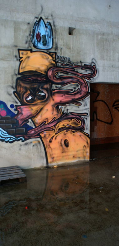 Graffiti Wall - Photo by hauaufdiekacke - character (2013)