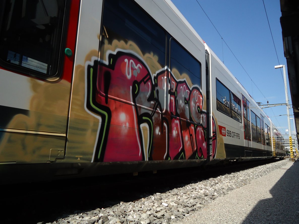 Graffiti Train in Sachseln - Photo by haudiesauraus - REES