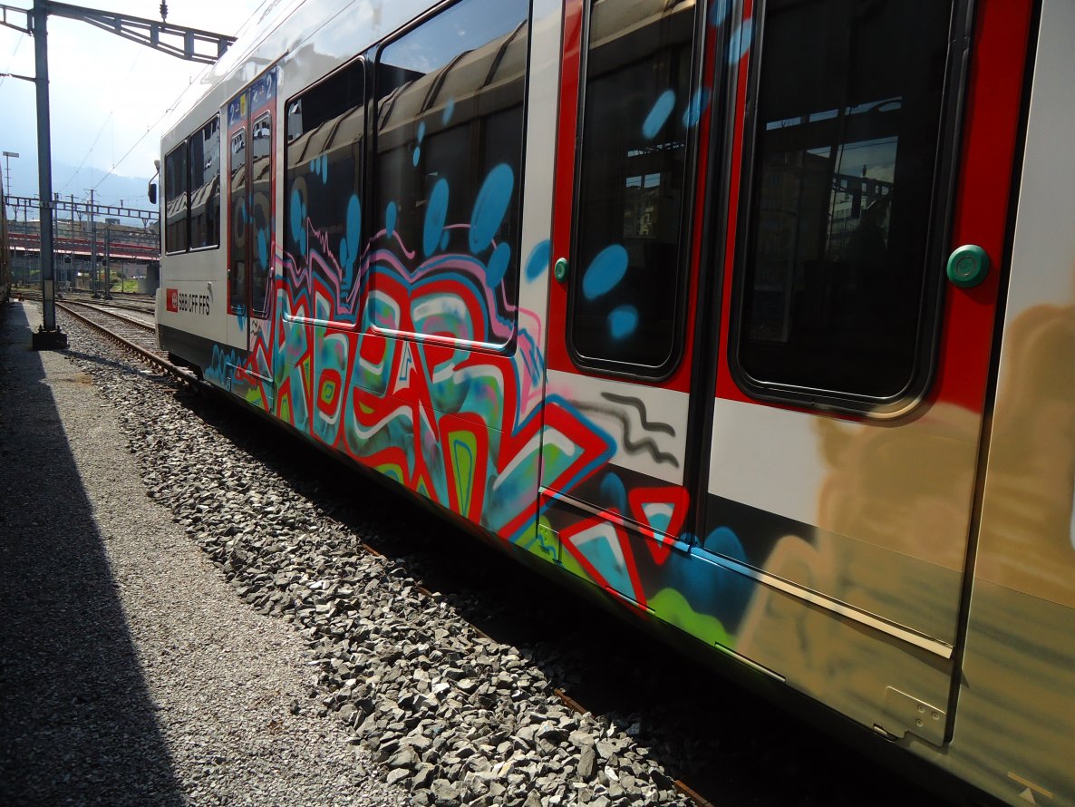Graffiti Train - Photo by haudiesauraus - aber