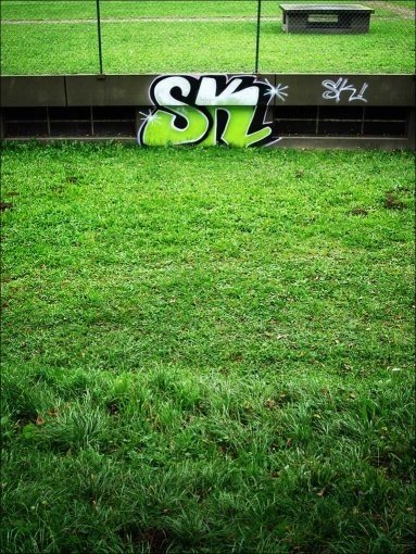 Graffiti Bombing - Photo by haze13 - Sk