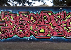 Photo #230178 by progresas