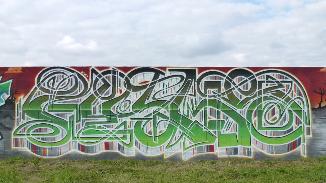 Graffiti Wall in Nousty france - Photo by heaks65 - 65ERS, heaks65, Pau (2016)