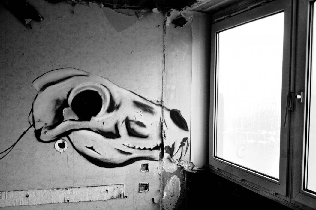 Graffiti Street Art in Sheffield - Photo by hedley