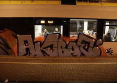 Photo #126848 by DOHE