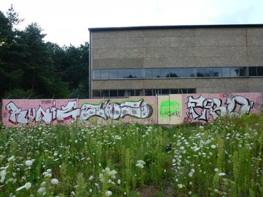 Graffiti Wall - Photo by hejkumkejkum - w, czarnej, le?nej (2014)