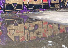 Photo #40110 by jebnato