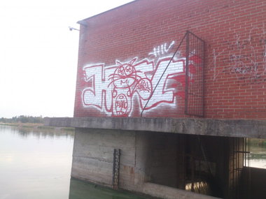 Graffiti Bombing - Photo by hiv