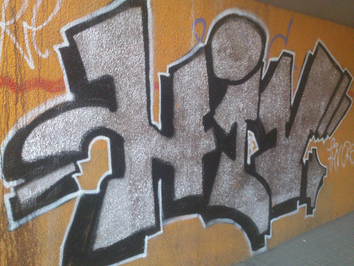 Graffiti Bombing - Photo by hiv