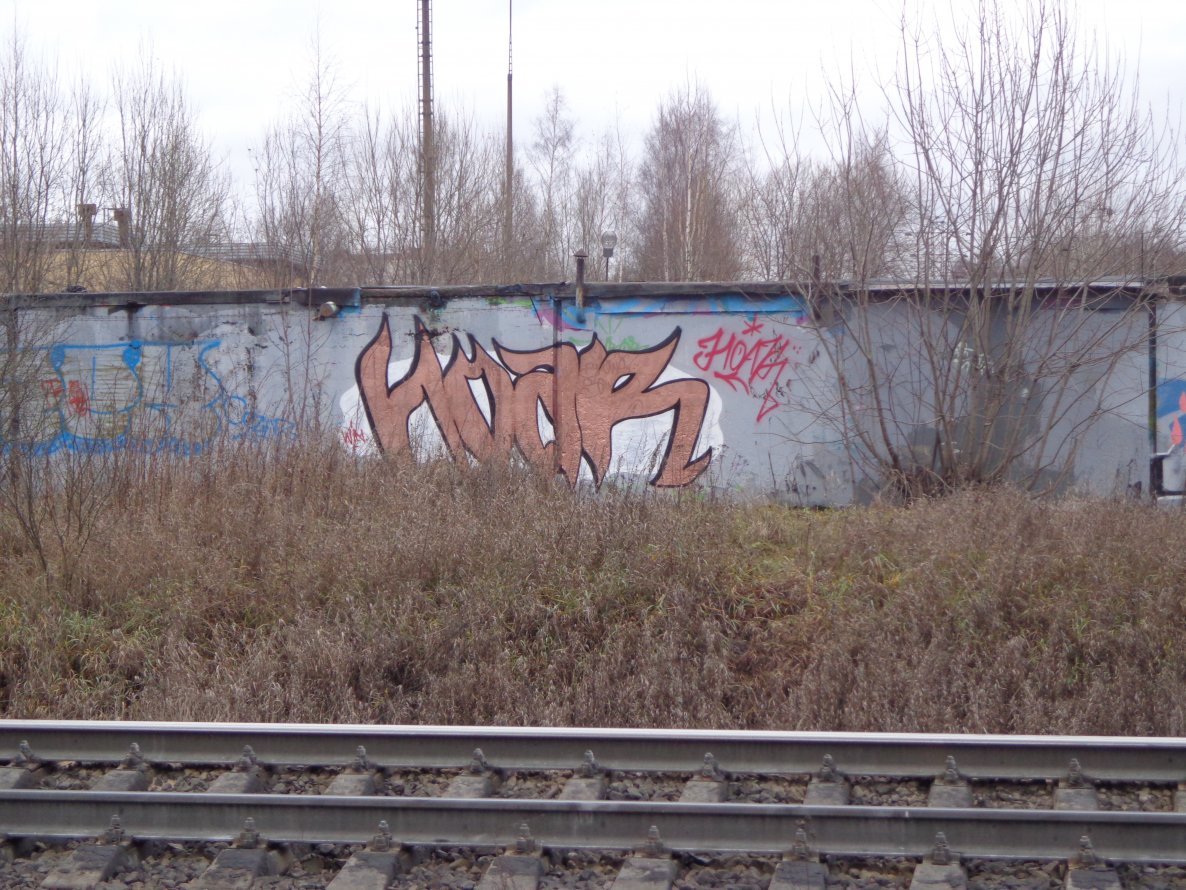 Graffiti Wall in Saint Petersburg - Photo by hoar - hoar, ours, wins (2013)