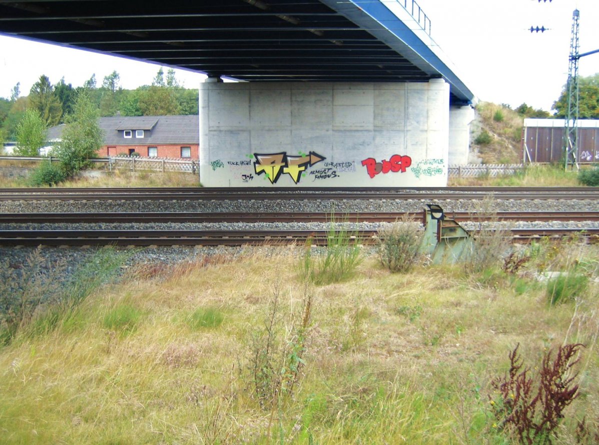 Graffiti Bombing - Photo by honigfresser - AF (2014)