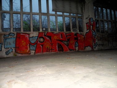 Graffiti Bombing - Photo by honigfresser - arzt (2015)