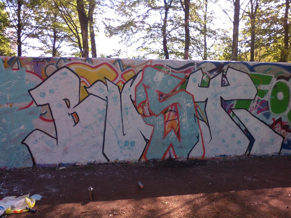Graffiti Bombing - Photo by hoodflows73 (2014)