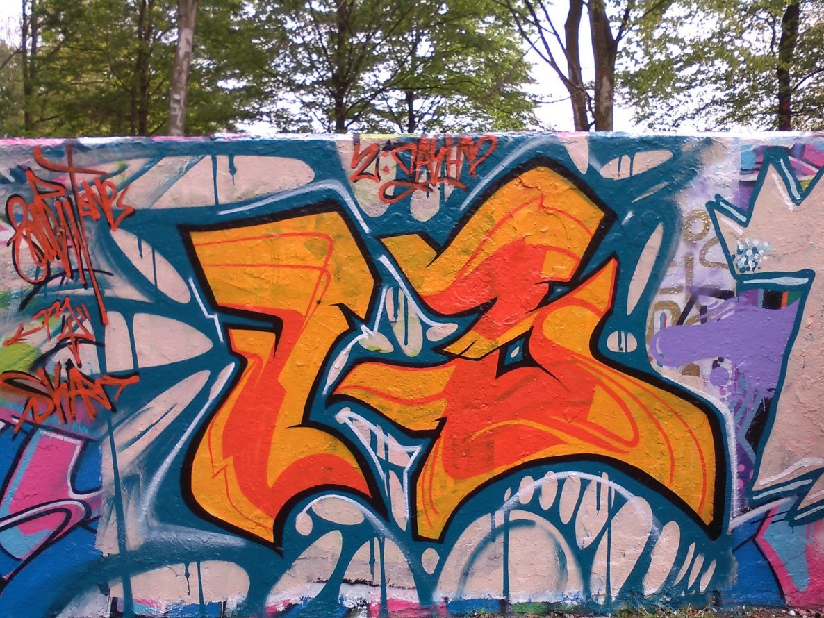 Graffiti Bombing - Photo by hoodflows73 (2014)