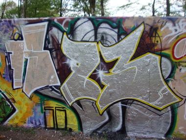 Graffiti Bombing in Bonn - Photo by hoodflows73 (2015)