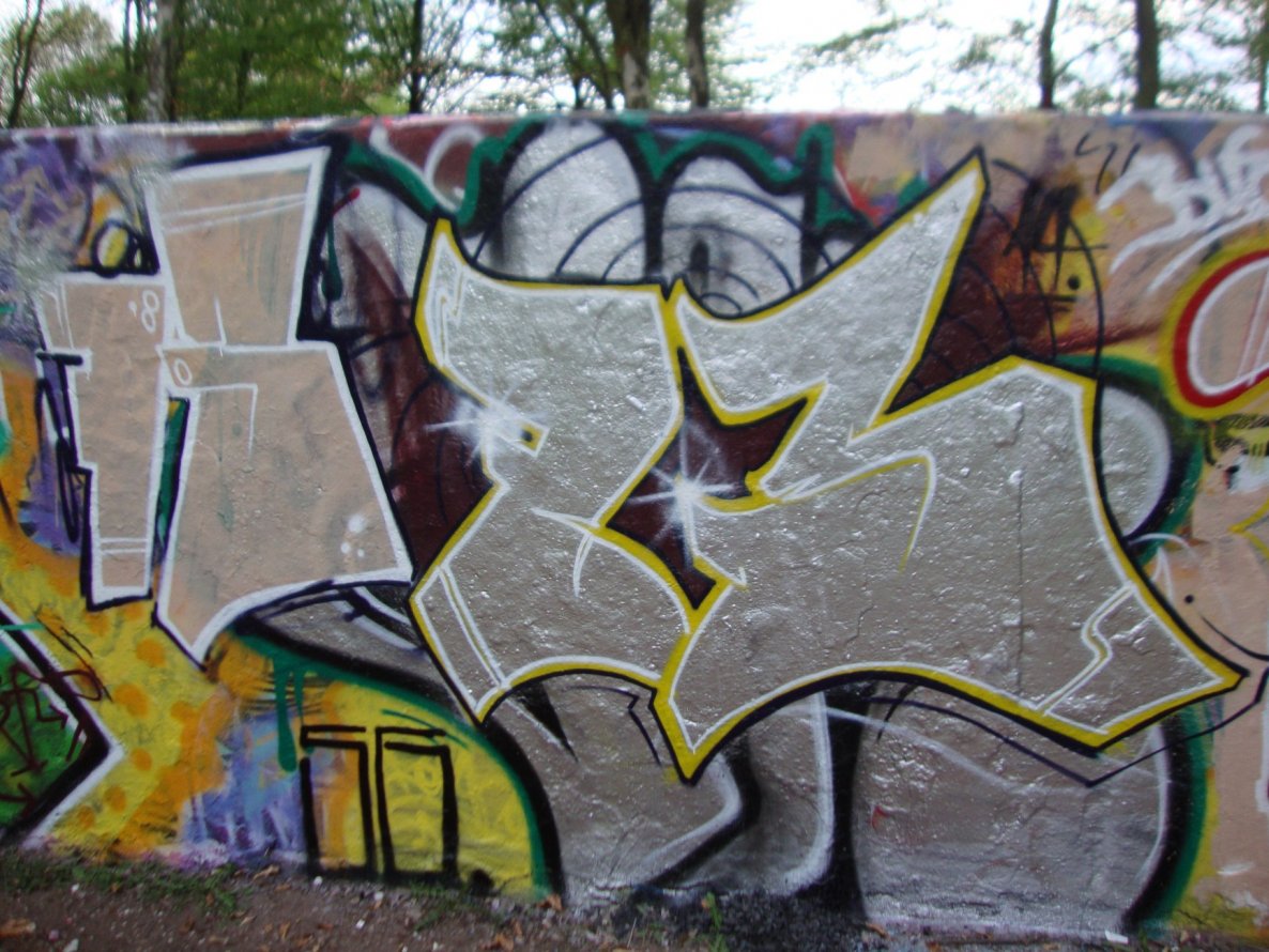 Graffiti Bombing in Bonn - Photo by hoodflows73 (2015)