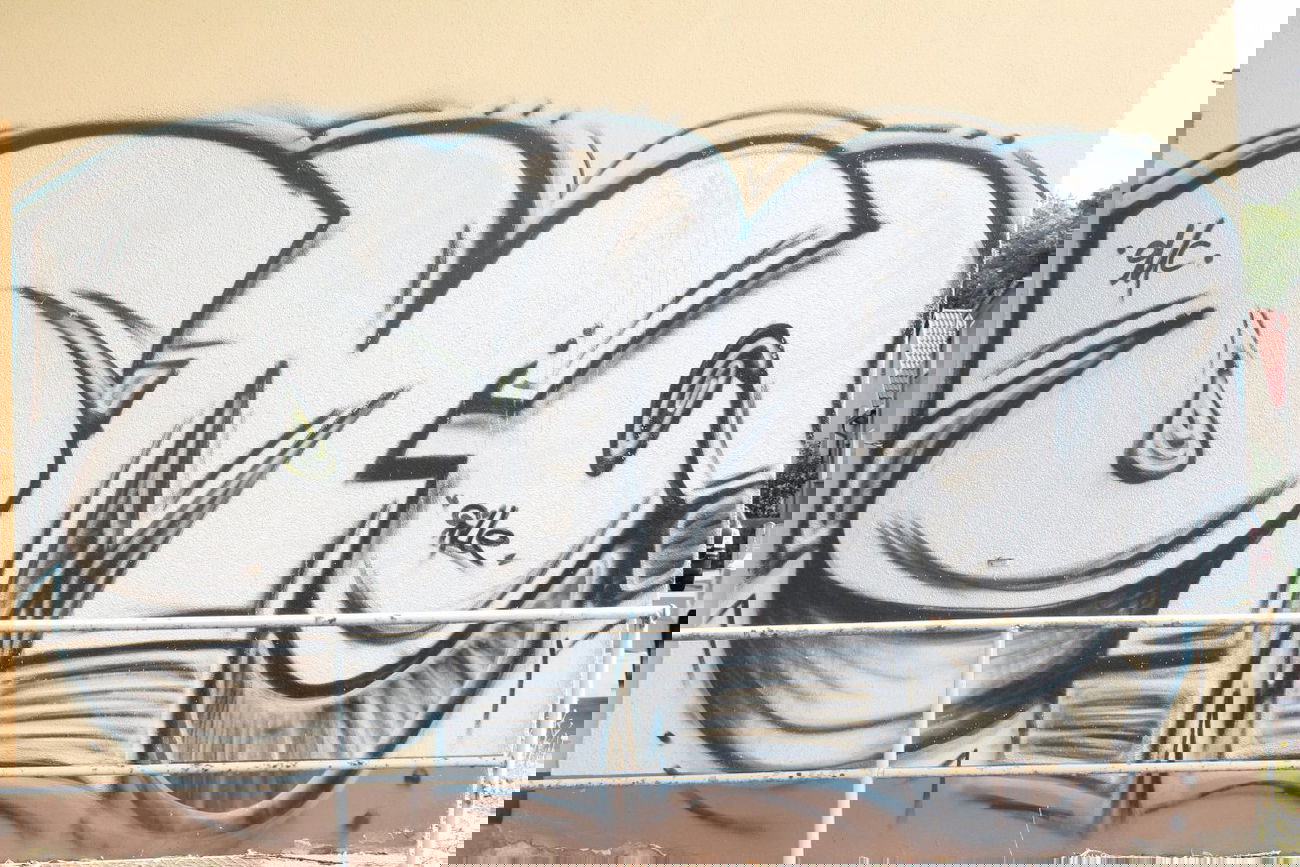 Graffiti Bombing - Photo by hspainter